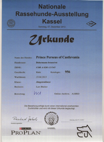 &nbsp;Perseus 07.12.2013 Urkunde.jpeg