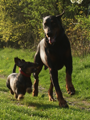 Vincent und Tracy